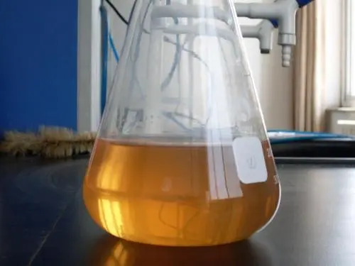 1620781077858982.jpg u=4010314288,1220461371&fm=26&fmt=auto&gp=0.jpg