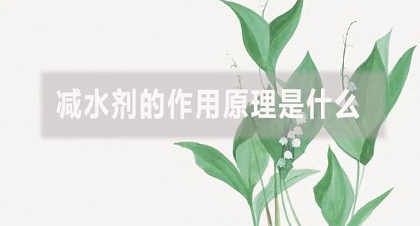 1715412058236530.jpg 微信圖片編輯_20240511152045.jpg